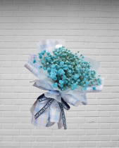 Baby Blue - belovedbeyond.com