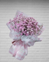 Baby Pink - belovedbeyond.com