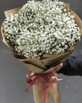 Baby Trắng - belovedbeyond.com