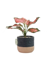 Vạn Lộc × Teori - belovedbeyond.com