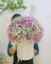 Hộp Hoa Baby Hồng Trắng - belovedbeyond.com