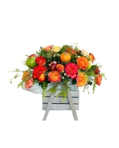 Cát Tường 1 - belovedbeyond.com