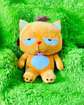 Mèo Dinga - belovedbeyond.com