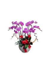 Chậu Hoa Tông Tím 01 - belovedbeyond.com