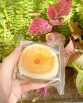 Túi Zip Pía Can Xại Trứng - belovedbeyond.com