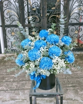 Mẫu Đơn Xanh - belovedbeyond.com