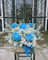 Cúc Mẫu Đơn Xanh - belovedbeyond.com