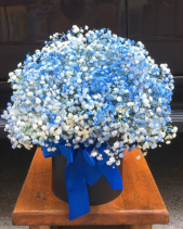 Lẵng Hoa Baby Xanh Dướng - belovedbeyond.com