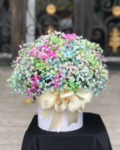 Hộp Hoa Baby - belovedbeyond.com