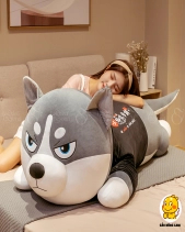 Chó Ngáo Husky - belovedbeyond.com