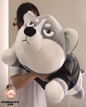 Chó Ngáo Husky - belovedbeyond.com
