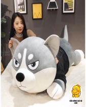 Chó Ngáo Husky - belovedbeyond.com