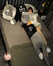 Chó Ngáo Husky - belovedbeyond.com