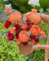 Little Orange - belovedbeyond.com