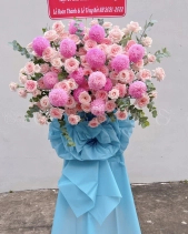 Kệ Khai Trương Cúc Mẫu Đơn - belovedbeyond.com