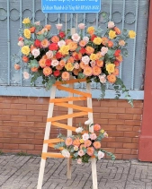 Kệ Khai Trương Tone Cam - belovedbeyond.com