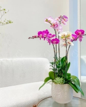 Sắc Màu - belovedbeyond.com