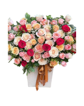 Hộp Hoa Hồng Chúc Mừng - belovedbeyond.com