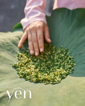 Yên - Trà Tim Sen Sao Vàng Hạ Thổ - belovedbeyond.com