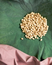 Tịnh - Sen Gò Khô - belovedbeyond.com