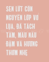 Lứt - Sen Gò Thực Dưỡng - belovedbeyond.com