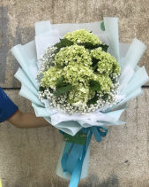 Bó Tú Cầu Xanh - belovedbeyond.com