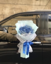 Bó Baby Xanh Dương - belovedbeyond.com