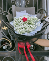 Bó Baby Trắng Mix Hoa Hồng Đỏ - belovedbeyond.com