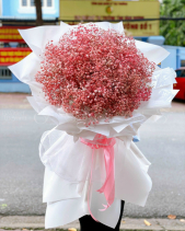 Bó Baby Đỏ Nhập Khẩu - belovedbeyond.com