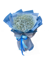 Bó Hoa Baby Blue Sky - belovedbeyond.com