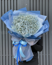 Bó Hoa Baby Blue Sky - belovedbeyond.com