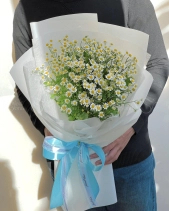 Bó Hoa Cúc Tana - belovedbeyond.com