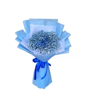 Bó Baby Xanh Dương - belovedbeyond.com