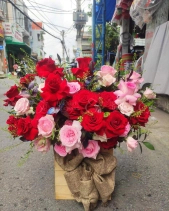 Lẵng Hoa Tone Đỏ Chúc Mừng - belovedbeyond.com