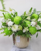 Chậu Hoa Tone Xanh Chúc Mừng - belovedbeyond.com