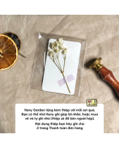 Heny Garden - Set Quà Tặng Nến Thơm Đất Việt Dv-01 - belovedbeyond.com