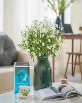 Trà Đinh Lăng - Hygie - belovedbeyond.com