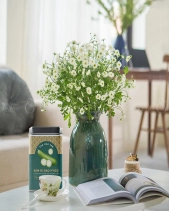 Trà Sâm Bí Đao - Hygie - belovedbeyond.com