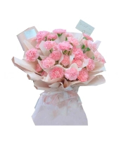 Bó Hoa Cẩm Chướng Tone Hồng Nhẹ Nhàng - belovedbeyond.com