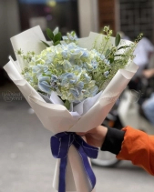 Bó Hoa Tú Cầu - belovedbeyond.com