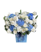 Lẵng Hoa Hồng Trắng Mix Tú Cầu Dịu Dàng - belovedbeyond.com