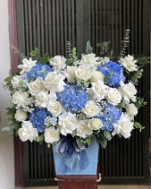 Lẵng Hoa Hồng Trắng Mix Tú Cầu Dịu Dàng - belovedbeyond.com