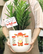 Quà Tặng Cây Xanh Cho Khai Trương Hồng Phát- Set 1 - belovedbeyond.com