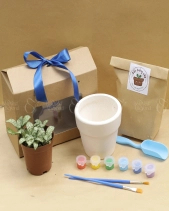 Kit Trồng Cây Và Vẽ Chậu Trang Trí - belovedbeyond.com