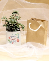 Quà Tặng Xanh Nhân Ngày Phụ Nữ Việt Nam- Set 05 - belovedbeyond.com