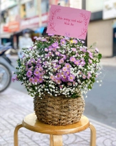 Gh-519 - belovedbeyond.com