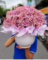 Hoa Chúc Mừng Sinh Nhật - Babi Hồng 1 - belovedbeyond.com