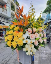 Hộp Hoa Khai Trương - Nắng Sớm - belovedbeyond.com