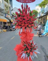 Hoa Chúc Mừng - Nhiệt Huyết 1 - belovedbeyond.com