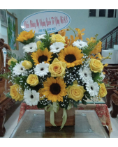 Lẵng Hoa Chúc Mừng - belovedbeyond.com